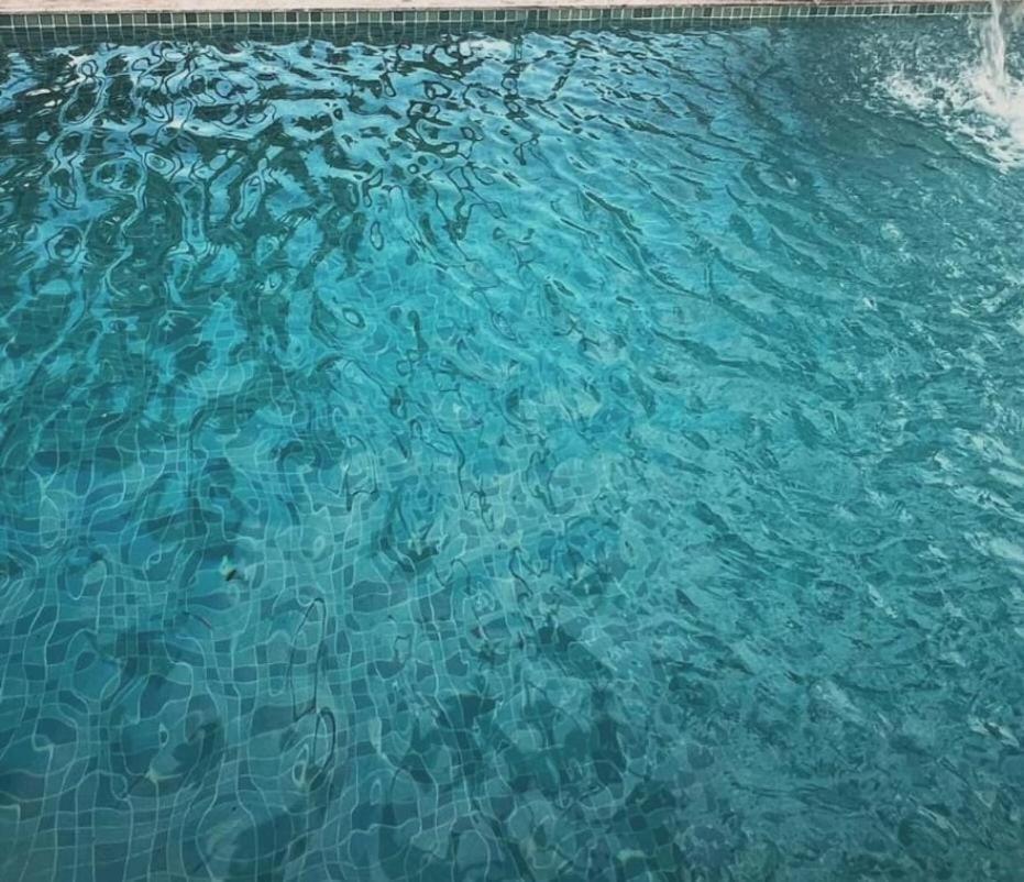 The Nature Swimming Resort 蓬蒂切里 外观 照片