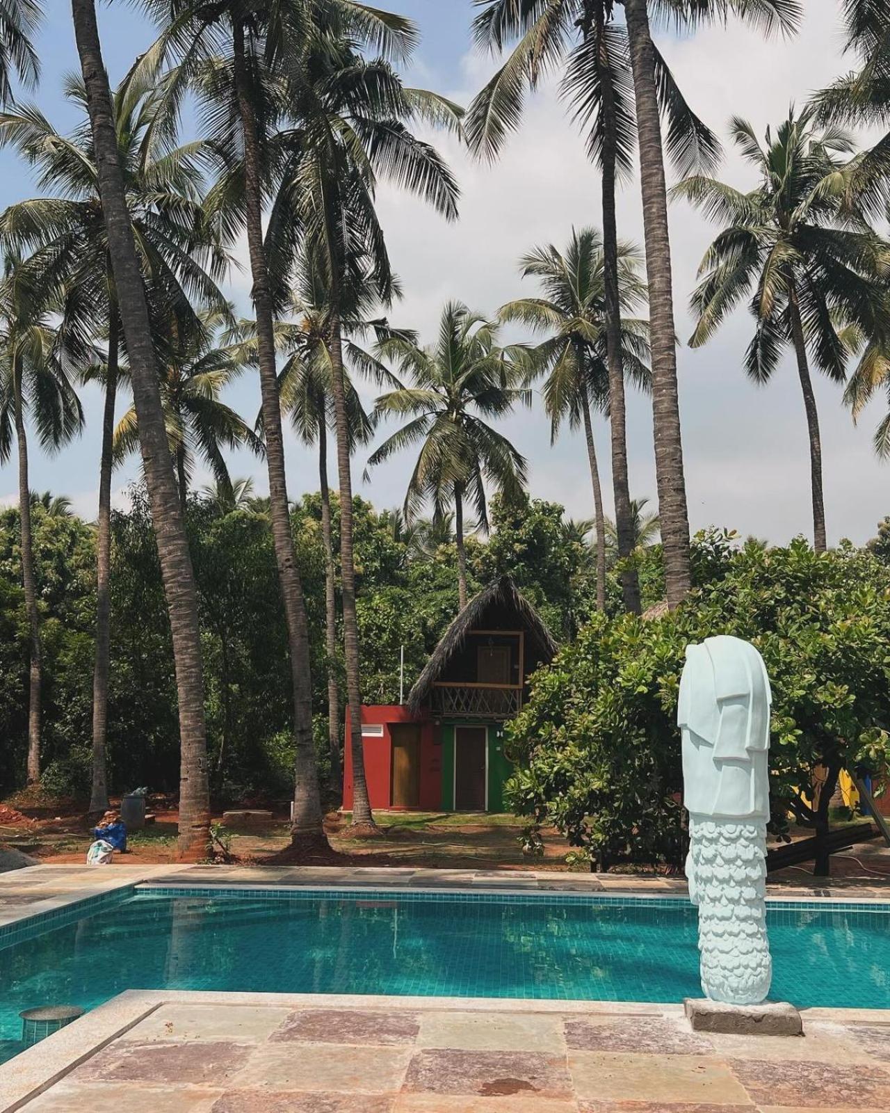 The Nature Swimming Resort 蓬蒂切里 外观 照片